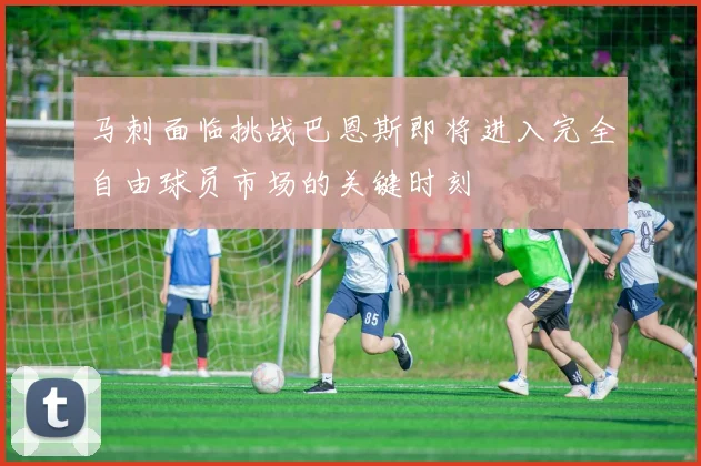 马刺面临挑战巴恩斯即将进入完全自由球员市场的关键时刻
