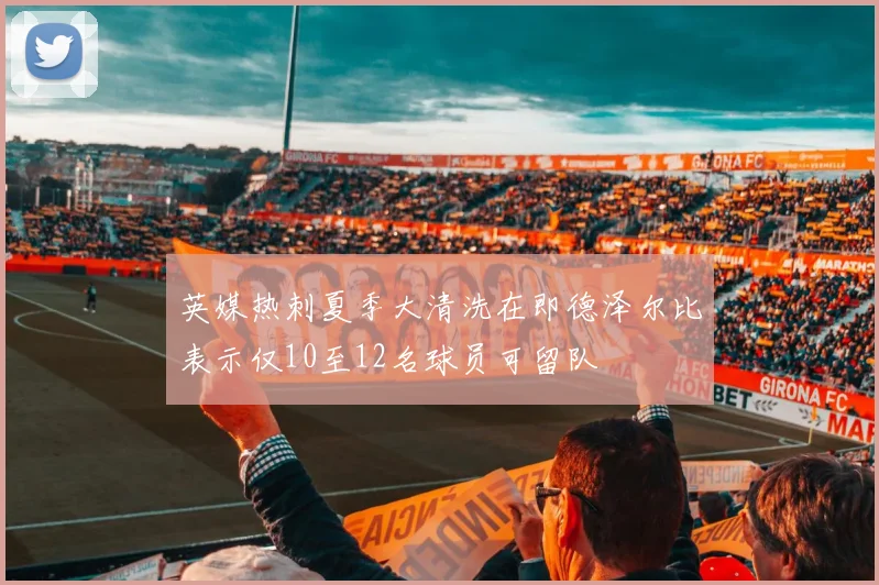 英媒热刺夏季大清洗在即德泽尔比表示仅10至12名球员可留队