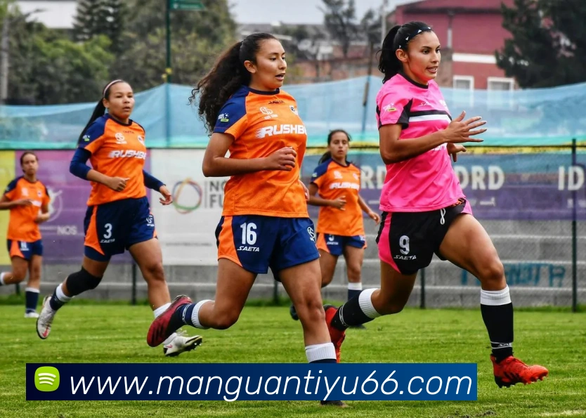 满贯体育APP 封面图